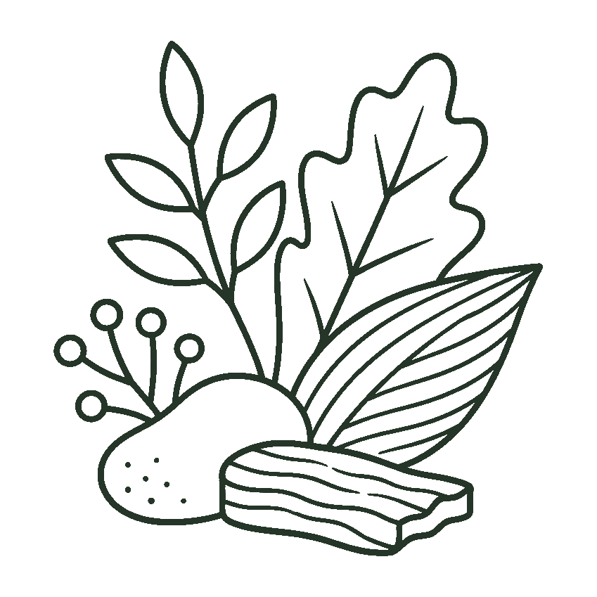 Palette végétale et matières