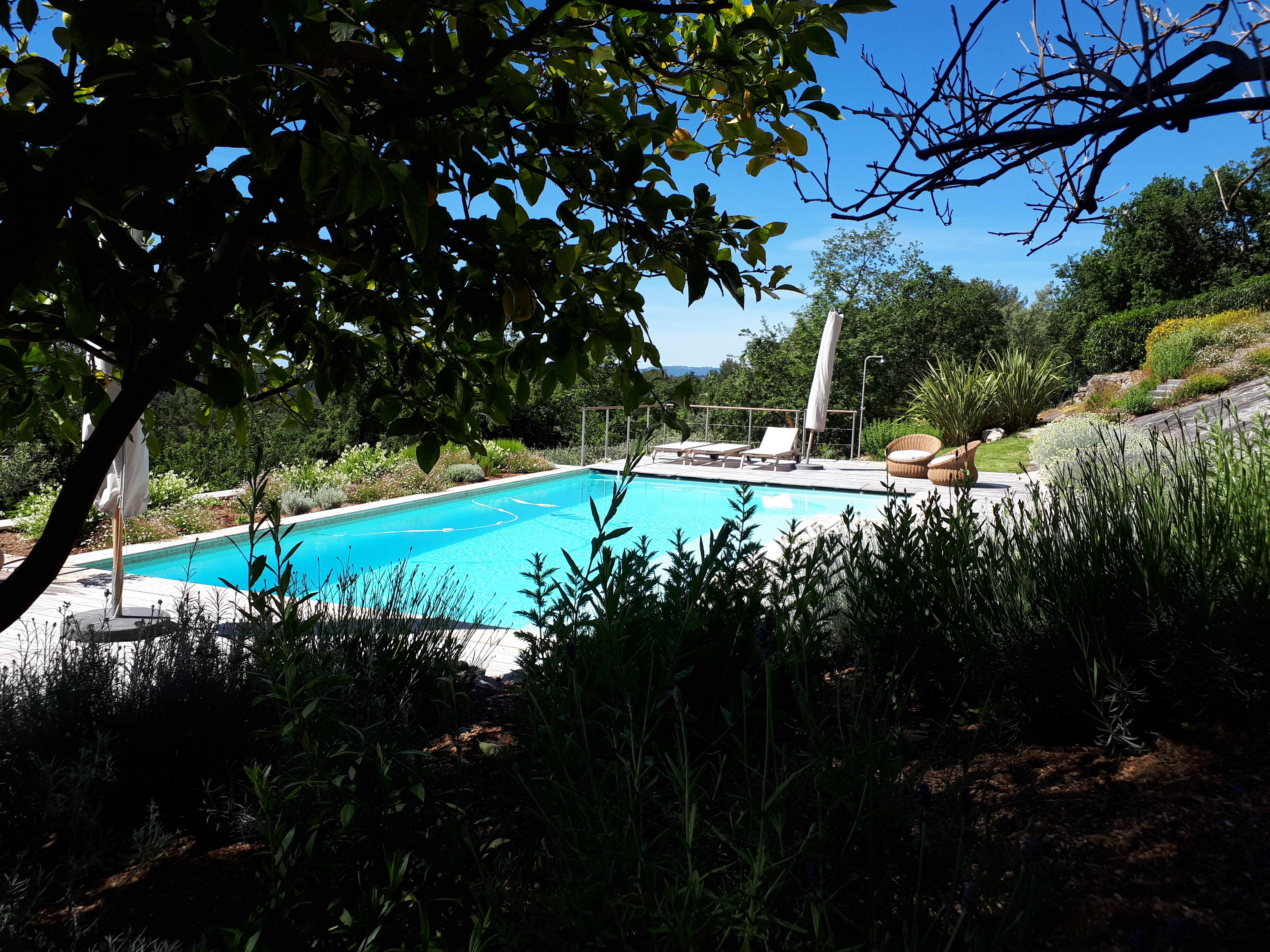 Jardin méditerranéen durable