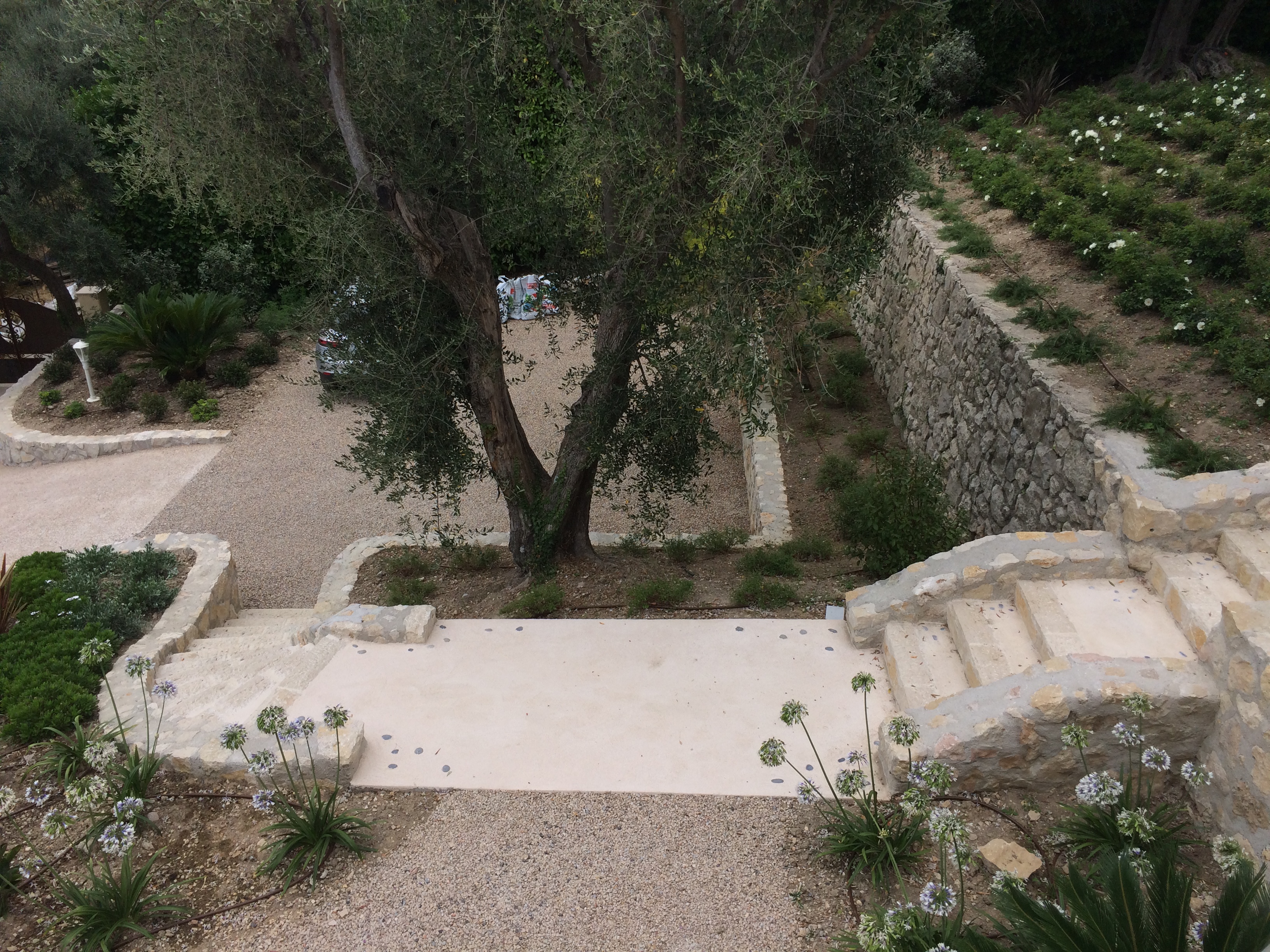 Jardin méditerranéen en couleur