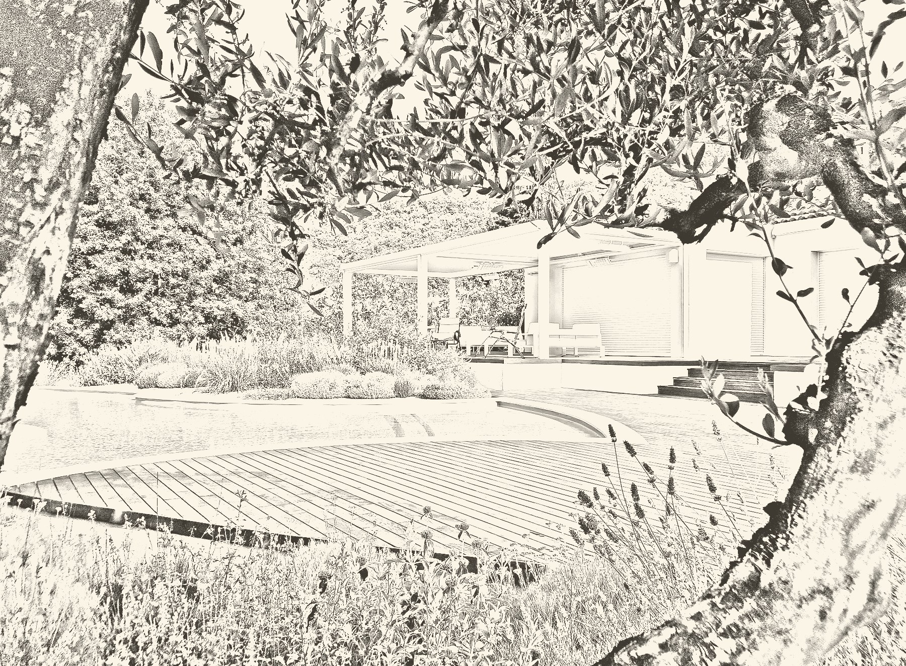 Croquis paysager de jardin méditerranéen