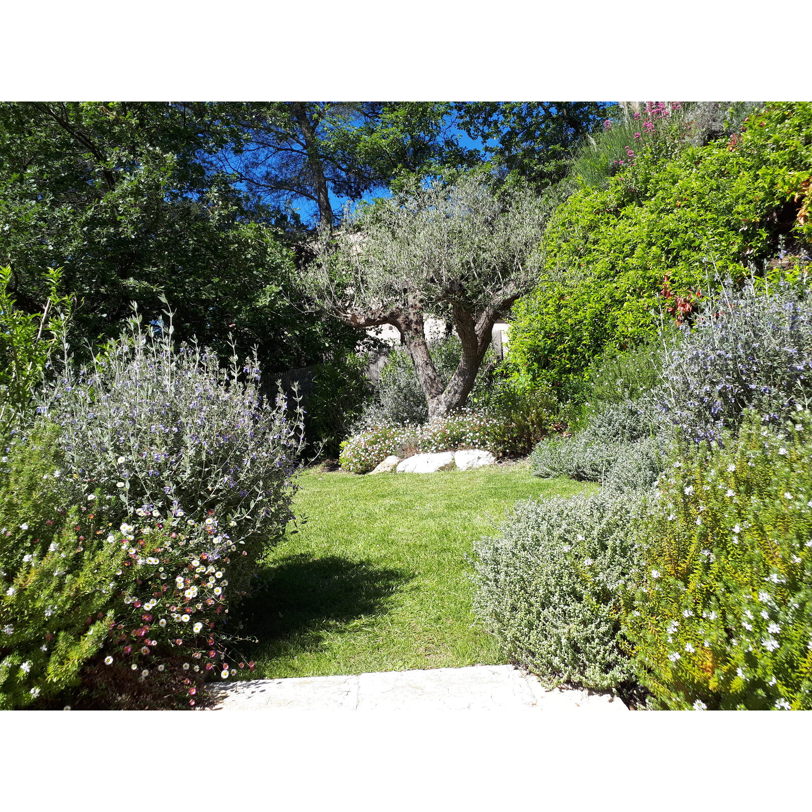 Jardin des lauves